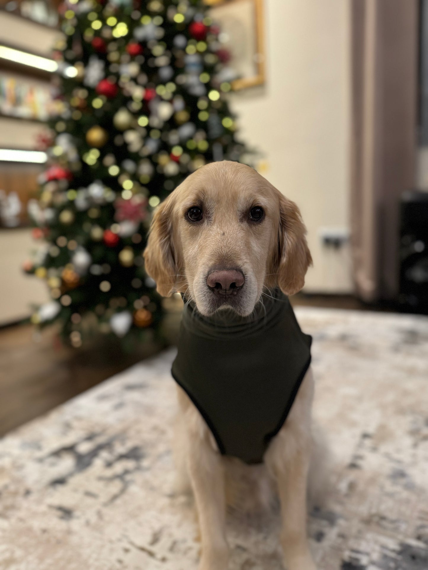 ZenPup® - Anti-Anxiety Vest