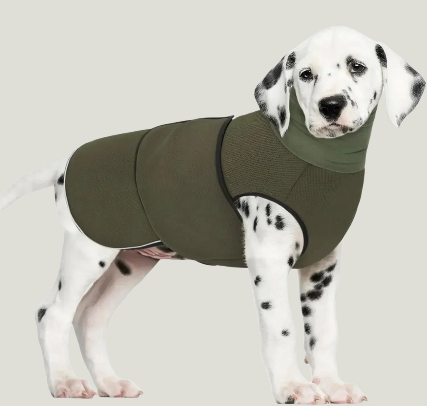 ZenPup® - Anti-Anxiety Vest