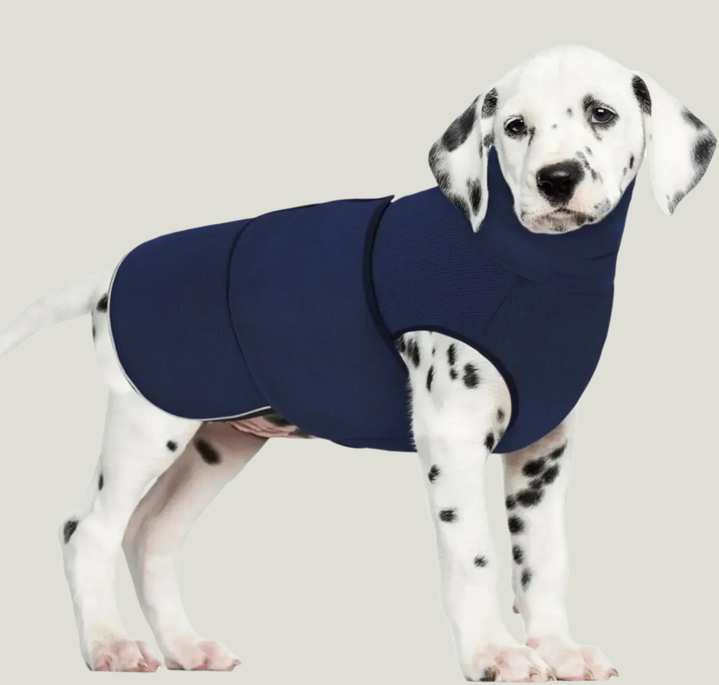 ZenPup® - Anti-Anxiety Vest